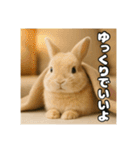 ポジティブなうさぎ（個別スタンプ：16）