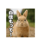 ポジティブなうさぎ（個別スタンプ：19）