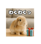 ポジティブなうさぎ（個別スタンプ：21）
