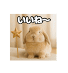 ポジティブなうさぎ（個別スタンプ：23）