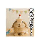 ポジティブなうさぎ（個別スタンプ：24）