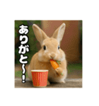 ポジティブなうさぎ（個別スタンプ：25）