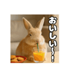ポジティブなうさぎ（個別スタンプ：26）