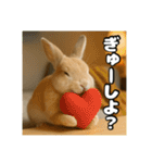 ポジティブなうさぎ（個別スタンプ：28）
