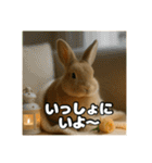 ポジティブなうさぎ（個別スタンプ：29）