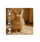 ポジティブなうさぎ（個別スタンプ：36）