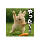 ポジティブなうさぎ（個別スタンプ：38）