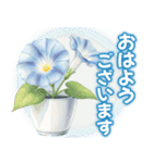 雨•梅雨•夏•毎日使える挨拶スタンプ（個別スタンプ：5）