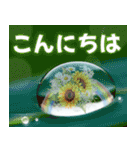 雨•梅雨•夏•毎日使える挨拶スタンプ（個別スタンプ：6）