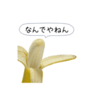 新・このバナナ動くぞ【実写版】（個別スタンプ：4）
