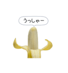 新・このバナナ動くぞ【実写版】（個別スタンプ：10）