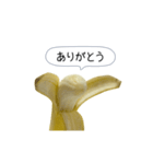 新・このバナナ動くぞ【実写版】（個別スタンプ：11）