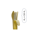 新・このバナナ動くぞ【実写版】（個別スタンプ：12）