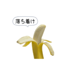 新・このバナナ動くぞ【実写版】（個別スタンプ：14）