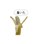 新・このバナナ動くぞ【実写版】（個別スタンプ：15）