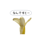 新・このバナナ動くぞ【実写版】（個別スタンプ：17）