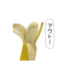 新・このバナナ動くぞ【実写版】（個別スタンプ：19）