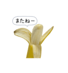 新・このバナナ動くぞ【実写版】（個別スタンプ：23）