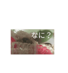 動く！コロロのスタンプ！（個別スタンプ：8）