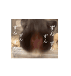 ZUN ZUN LIFE（個別スタンプ：5）