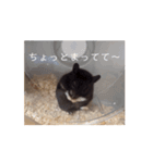 ZUN ZUN LIFE（個別スタンプ：7）