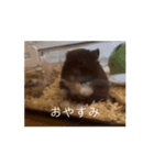 ZUN ZUN LIFE（個別スタンプ：8）