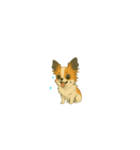 にこにこチワワ2（個別スタンプ：6）