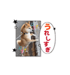 踊る源（個別スタンプ：1）