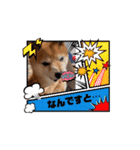 踊る源（個別スタンプ：5）