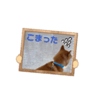 踊る源（個別スタンプ：9）
