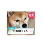 踊る源（個別スタンプ：10）