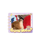 踊る源（個別スタンプ：12）