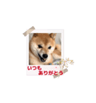 踊る源（個別スタンプ：15）
