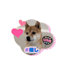 踊る源（個別スタンプ：16）