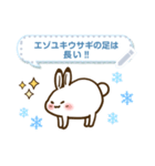 ゆるっと雪国の動物たちメッセージスタンプ（個別スタンプ：17）