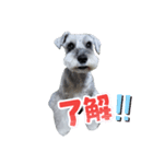しょこらん家3（個別スタンプ：7）