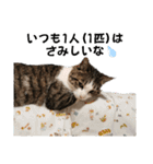 ねこさんのハート（個別スタンプ：11）