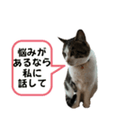 ねこさんのハート（個別スタンプ：24）