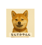 久留米弁の柴犬、大吉（個別スタンプ：2）