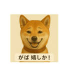 久留米弁の柴犬、大吉（個別スタンプ：4）