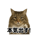 闘魂注入！ノルウェージャンフォレスト猫（個別スタンプ：9）