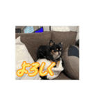 ぺーたん。（個別スタンプ：6）