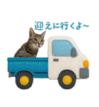 猫のすたんぷ。。。9（個別スタンプ：16）