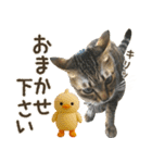 猫のすたんぷ。。。9（個別スタンプ：18）