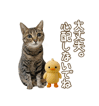 猫のすたんぷ。。。9（個別スタンプ：22）