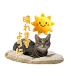 猫のすたんぷ。。。9（個別スタンプ：27）