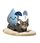 猫のすたんぷ。。。9（個別スタンプ：28）