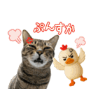 猫のすたんぷ。。。9（個別スタンプ：32）