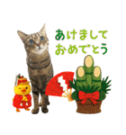 猫のすたんぷ。。。9（個別スタンプ：35）
