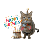 猫のすたんぷ。。。9（個別スタンプ：36）